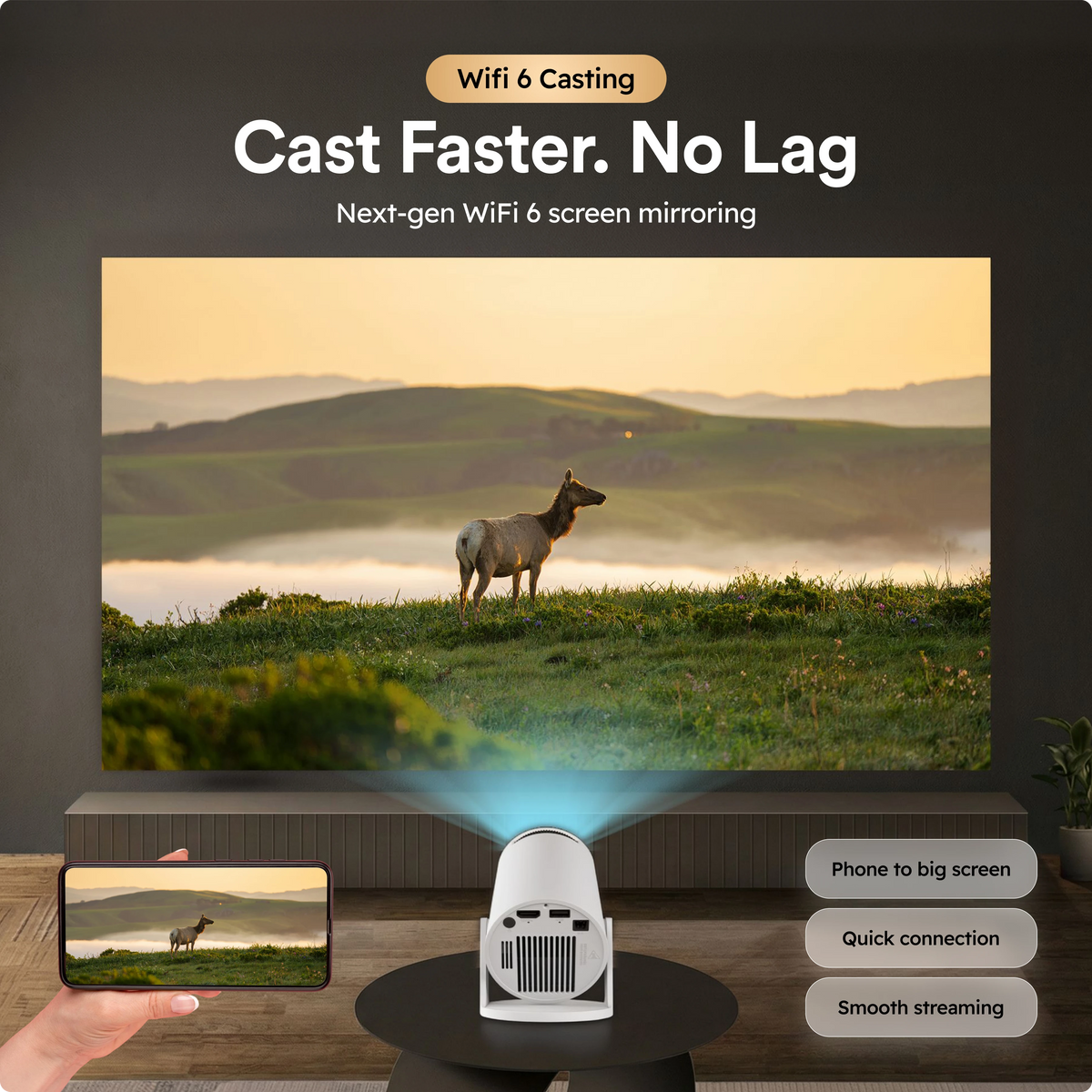 Mini Projector