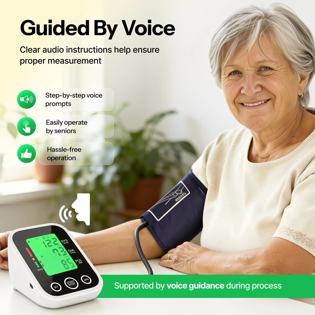 Blood Pressure Monitor Pro